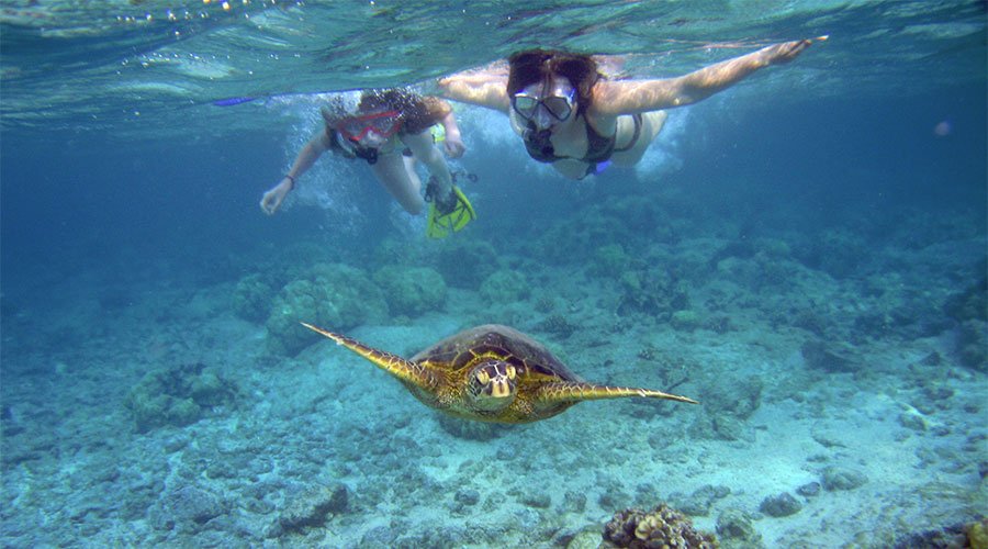 Snorkelling 