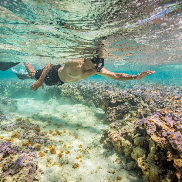 Snorkelling 